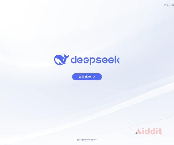 DeepSeek