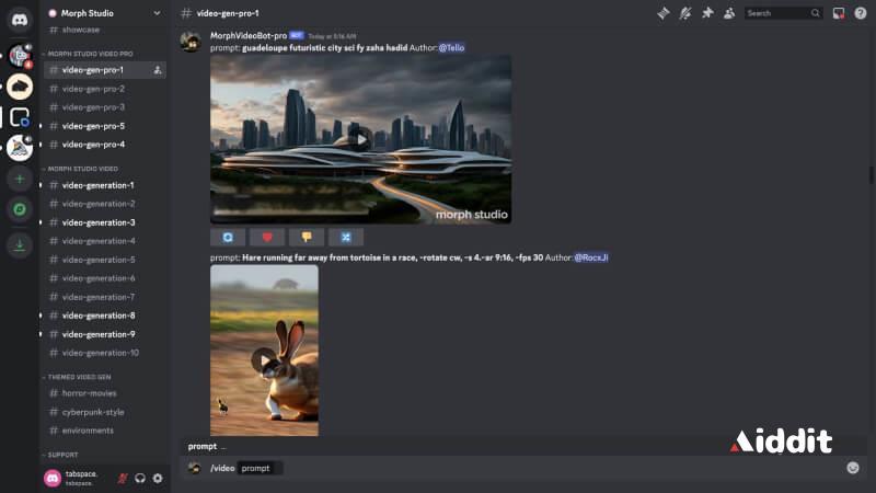 Morph Studio Discord